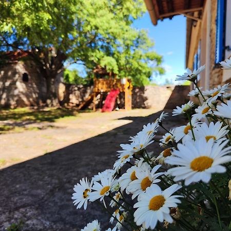 Kuca Dida Jure Villa Pridraga Buitenkant foto