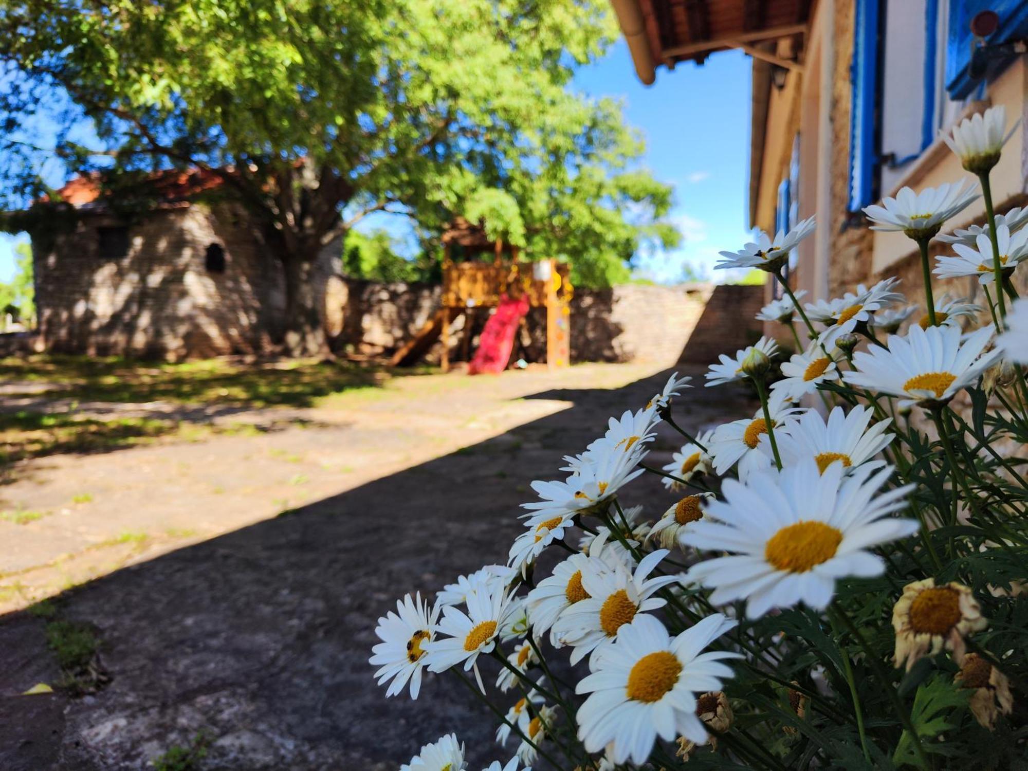 Kuca Dida Jure Villa Pridraga Buitenkant foto