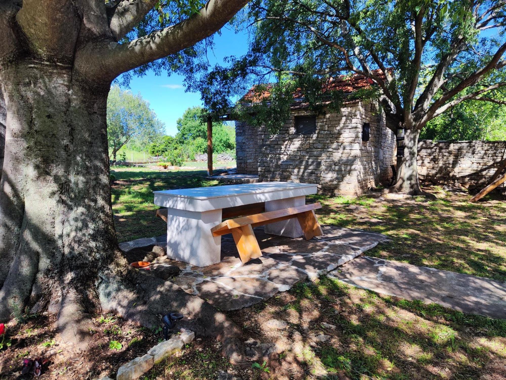 Kuca Dida Jure Villa Pridraga Buitenkant foto